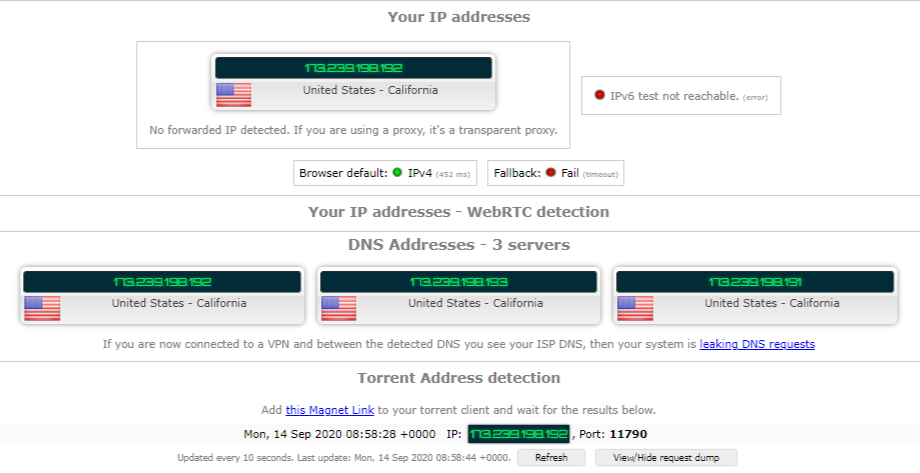 Torrenting Leak Test - US