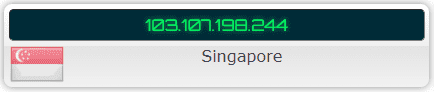 IP Leak Test – ProtonVPN Singapore